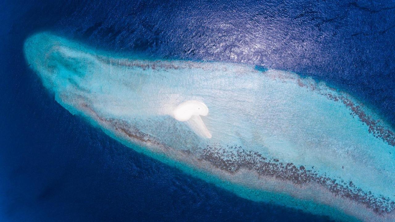 Dhangethi Inn المظهر الخارجي الصورة
