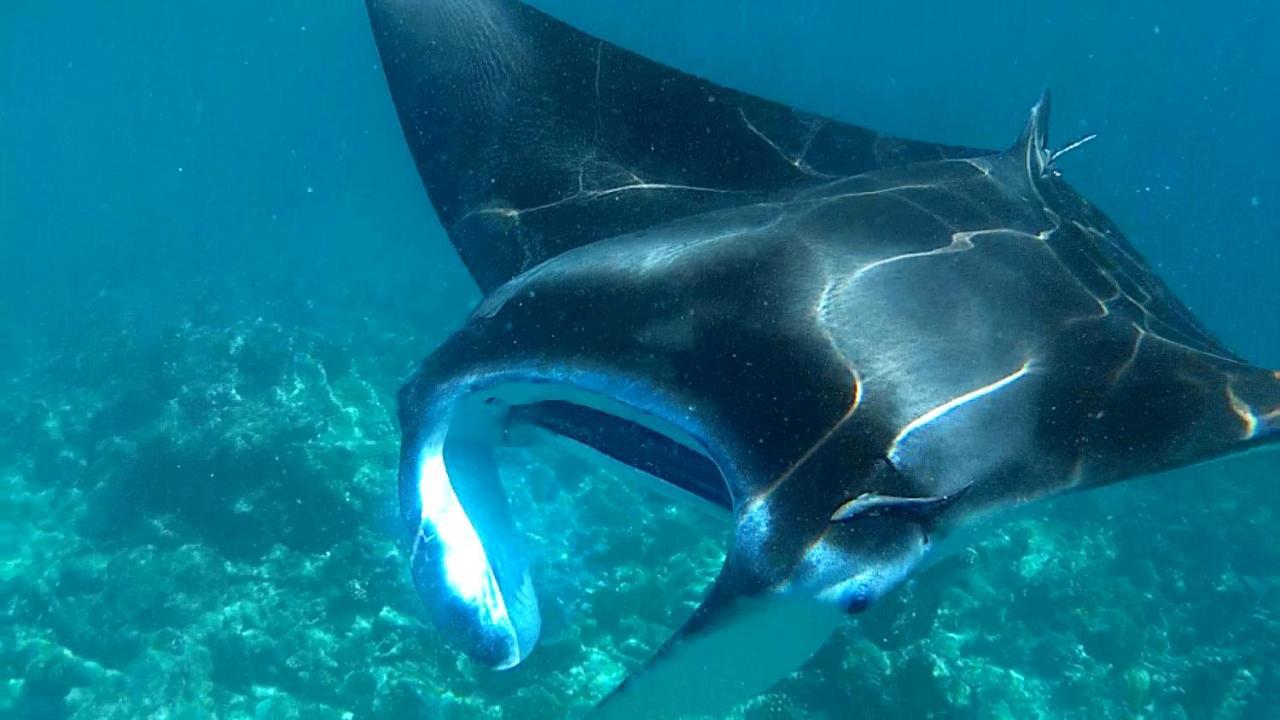 Dhangethi Inn المظهر الخارجي الصورة
