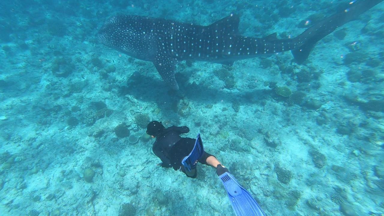 Dhangethi Inn المظهر الخارجي الصورة