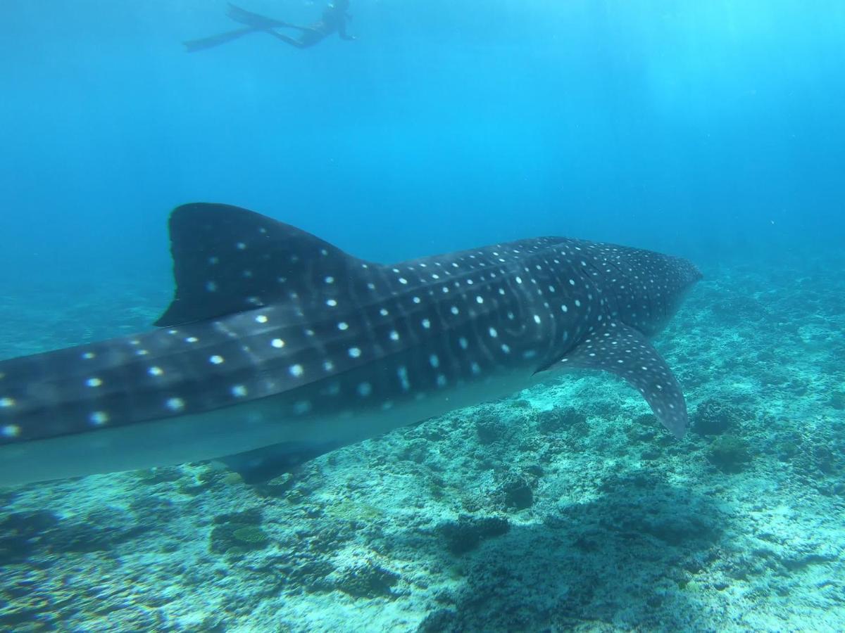 Dhangethi Inn المظهر الخارجي الصورة
