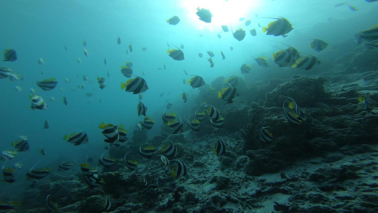 Dhangethi Inn المظهر الخارجي الصورة