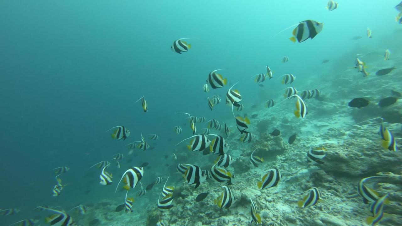 Dhangethi Inn المظهر الخارجي الصورة
