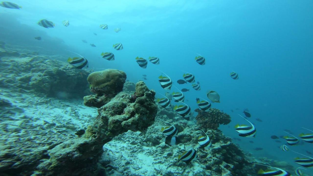 Dhangethi Inn المظهر الخارجي الصورة