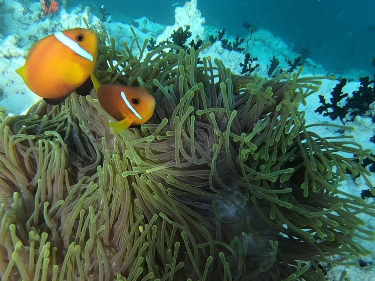 Dhangethi Inn المظهر الخارجي الصورة