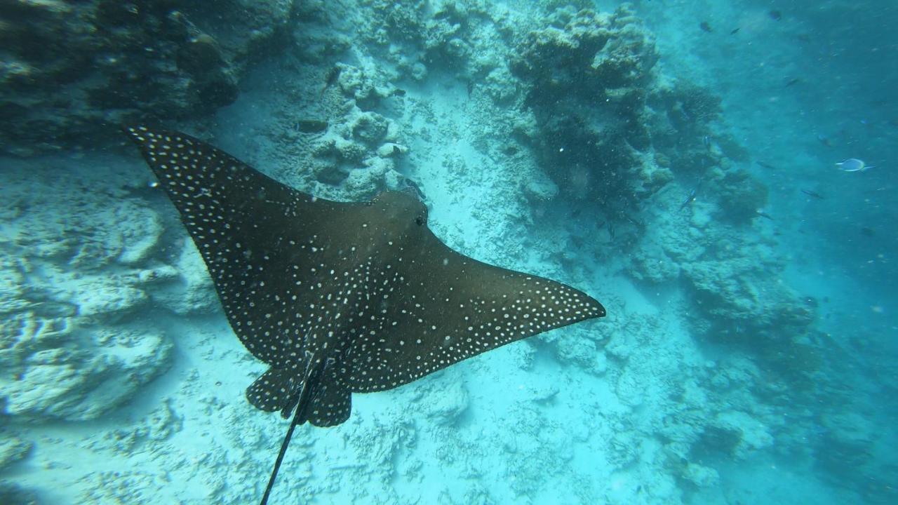 Dhangethi Inn المظهر الخارجي الصورة