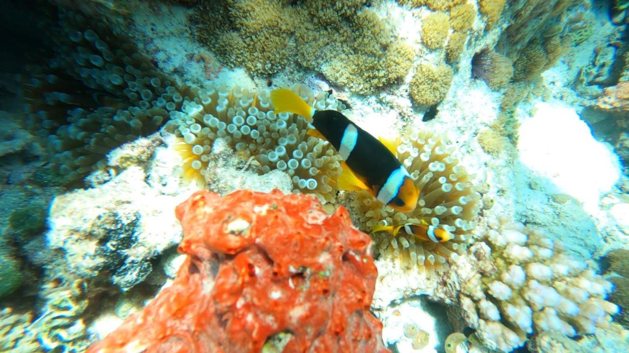 Dhangethi Inn المظهر الخارجي الصورة