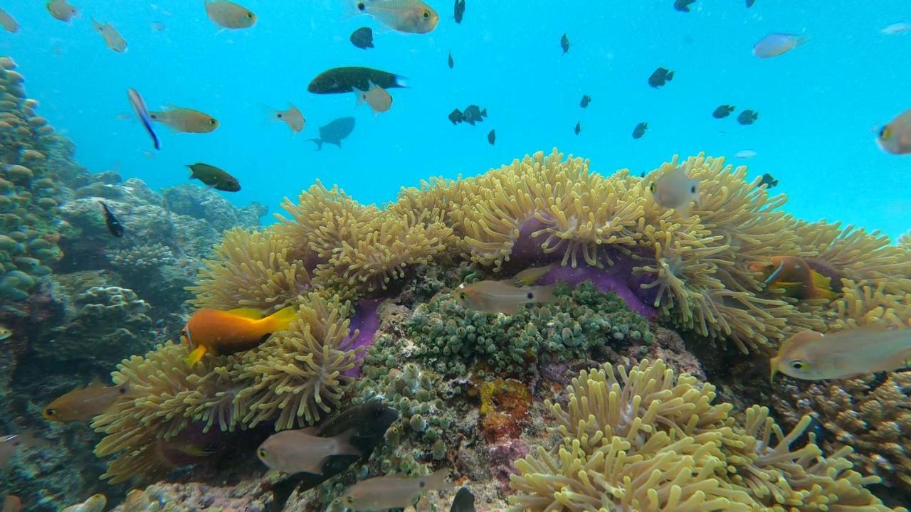 Dhangethi Inn المظهر الخارجي الصورة